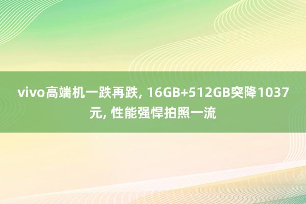 vivo高端机一跌再跌, 16GB+512GB突降1037元, 性能强悍拍照一流