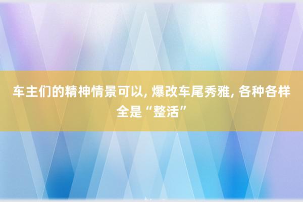 车主们的精神情景可以, 爆改车尾秀雅, 各种各样全是“整活”