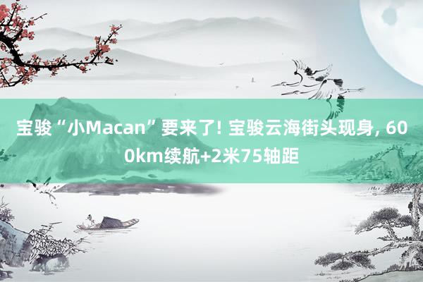 宝骏“小Macan”要来了! 宝骏云海街头现身, 600km续航+2米75轴距