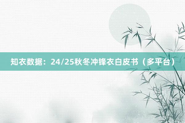 知衣数据：24/25秋冬冲锋衣白皮书（多平台）