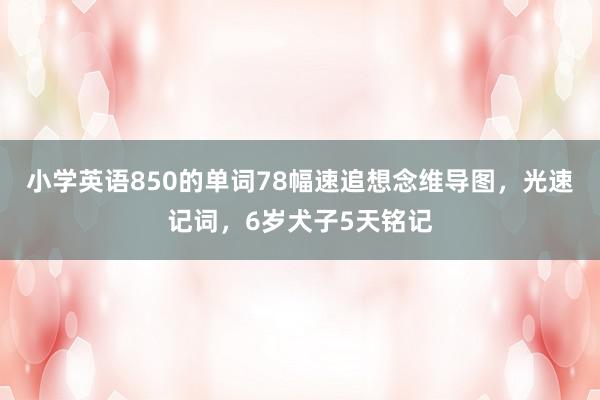 小学英语850的单词78幅速追想念维导图，光速记词，6岁犬子5天铭记