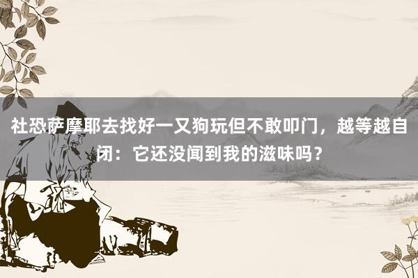 社恐萨摩耶去找好一又狗玩但不敢叩门，越等越自闭：它还没闻到我的滋味吗？