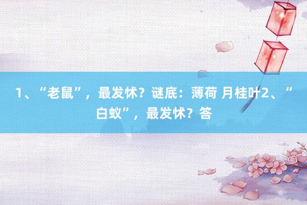 1、“老鼠”，最发怵？谜底：薄荷 月桂叶2、“白蚁”，最发怵？答