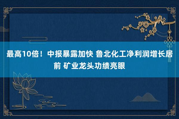 最高10倍！中报暴露加快 鲁北化工净利润增长居前 矿业龙头功绩亮眼