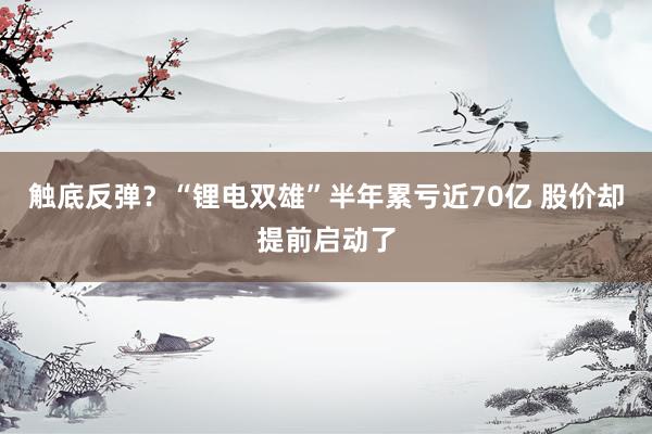 触底反弹？“锂电双雄”半年累亏近70亿 股价却提前启动了