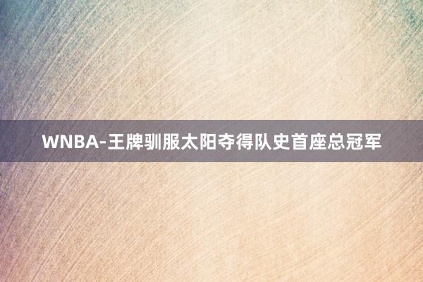 WNBA-王牌驯服太阳夺得队史首座总冠军