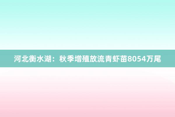 河北衡水湖：秋季增殖放流青虾苗8054万尾