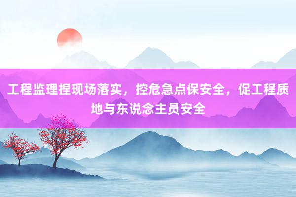 工程监理捏现场落实，控危急点保安全，促工程质地与东说念主员安全