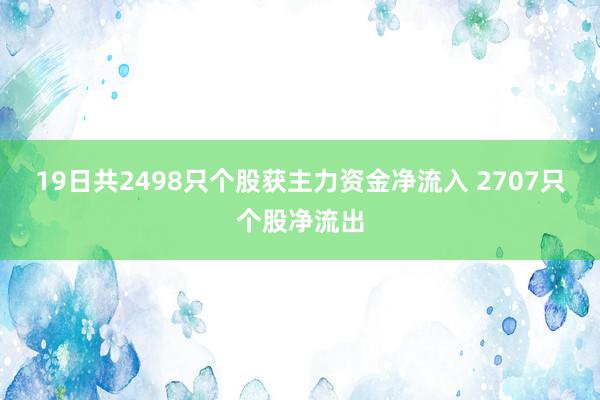 19日共2498只个股获主力资金净流入 2707只个股净流出