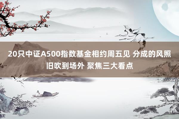 20只中证A500指数基金相约周五见 分成的风照旧吹到场外 聚焦三大看点